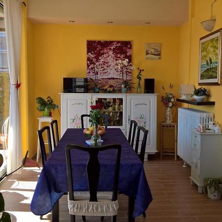 B&B San Lorentino House Arezzo Exterior foto